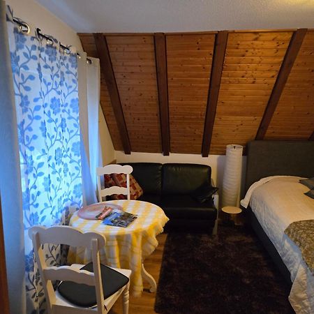 Haus Am Scheibenfelsen Apartman St. Blasien Kültér fotó