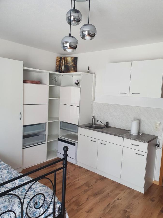Haus Am Scheibenfelsen Apartman St. Blasien Kültér fotó