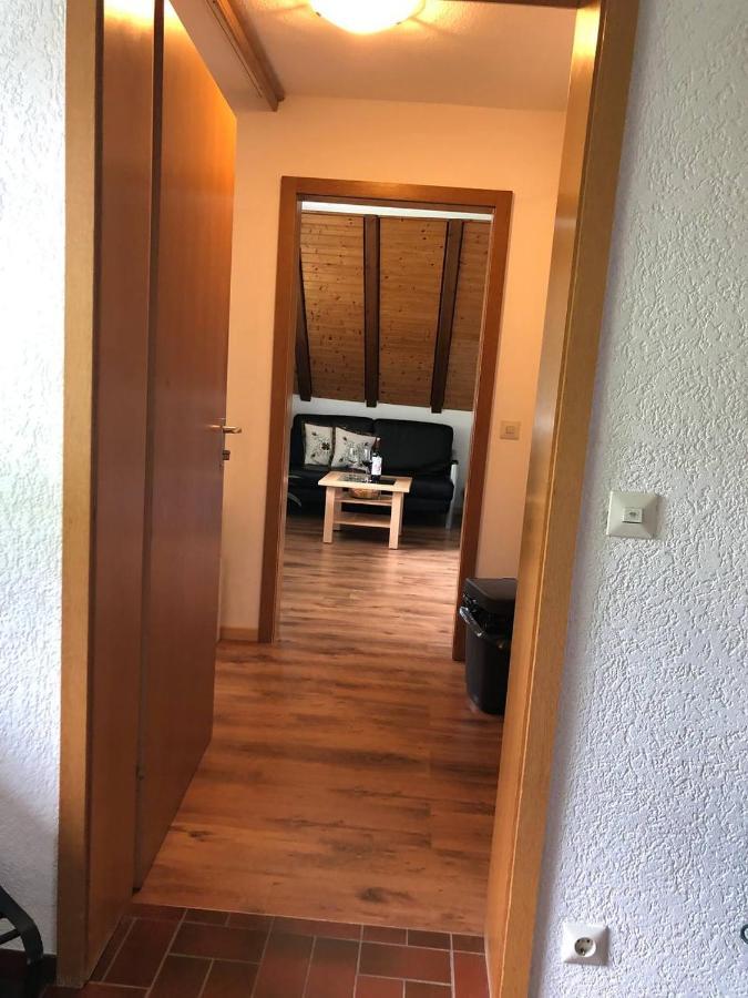Haus Am Scheibenfelsen Apartman St. Blasien Kültér fotó