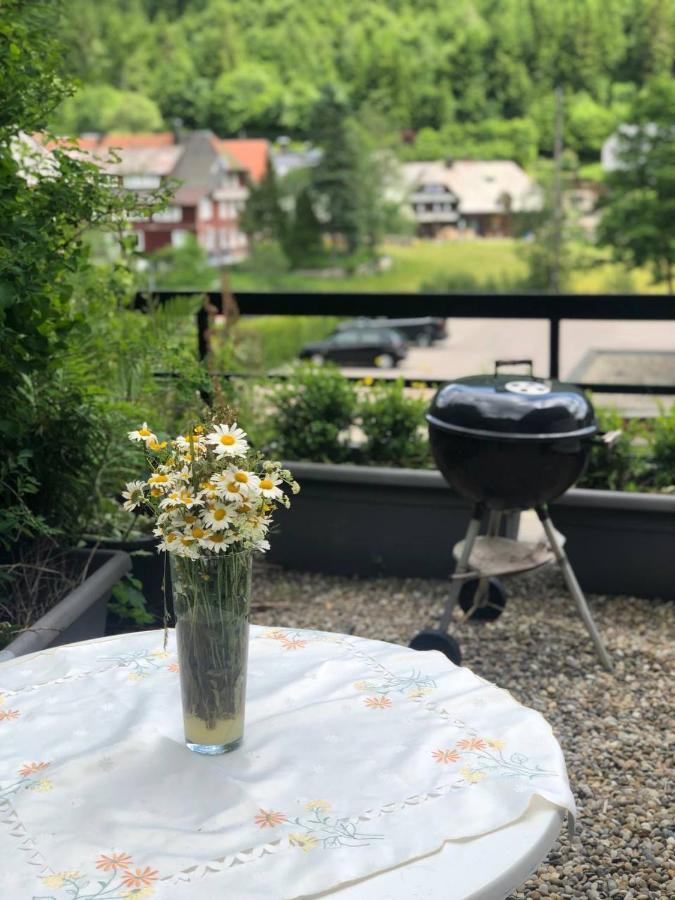Haus Am Scheibenfelsen Apartman St. Blasien Kültér fotó