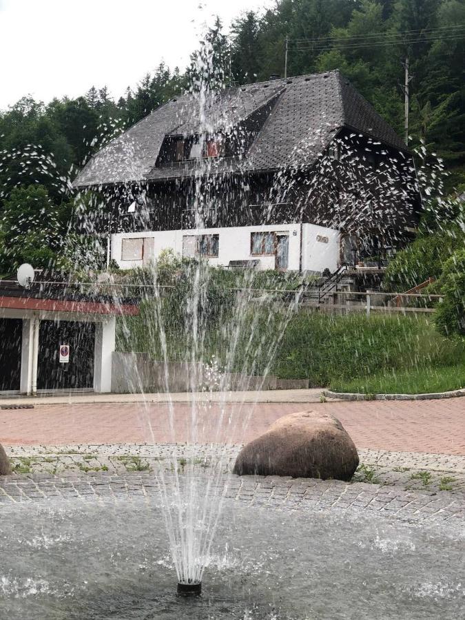 Haus Am Scheibenfelsen Apartman St. Blasien Kültér fotó
