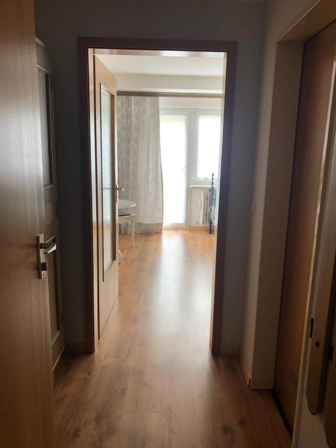 Haus Am Scheibenfelsen Apartman St. Blasien Kültér fotó