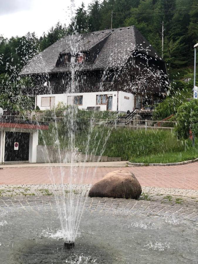Haus Am Scheibenfelsen Apartman St. Blasien Kültér fotó