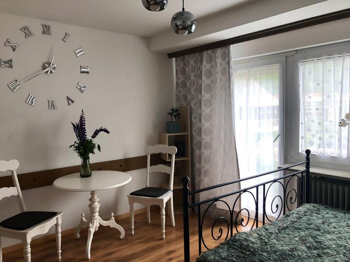 Haus Am Scheibenfelsen Apartman St. Blasien Kültér fotó