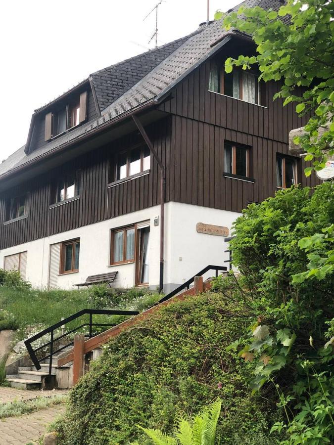 Haus Am Scheibenfelsen Apartman St. Blasien Kültér fotó