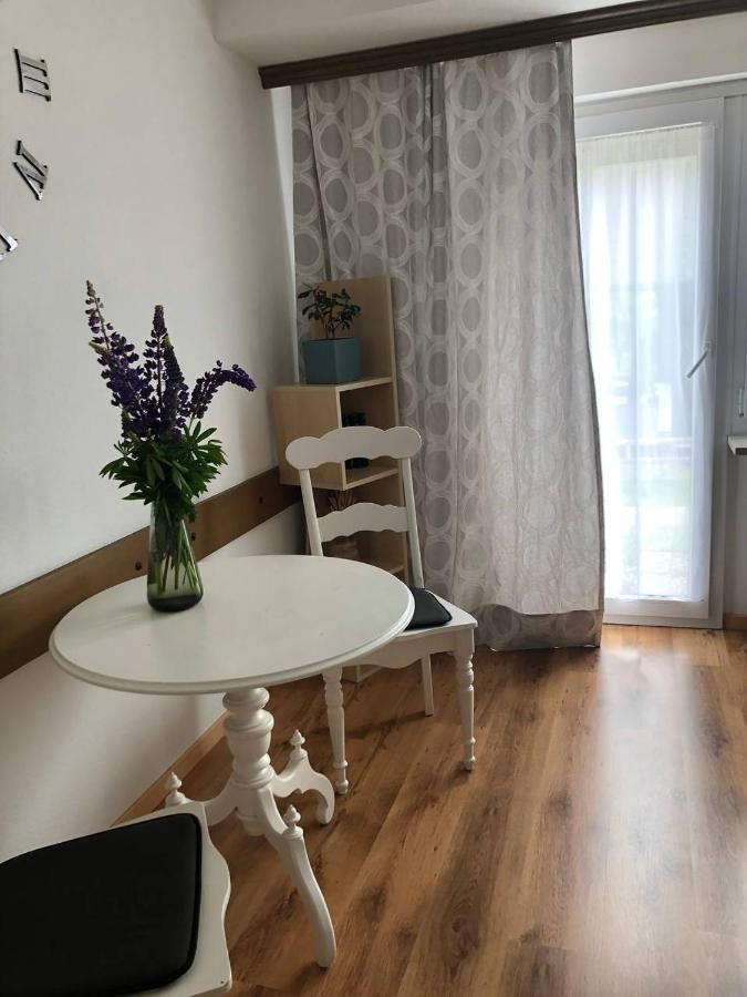 Haus Am Scheibenfelsen Apartman St. Blasien Kültér fotó