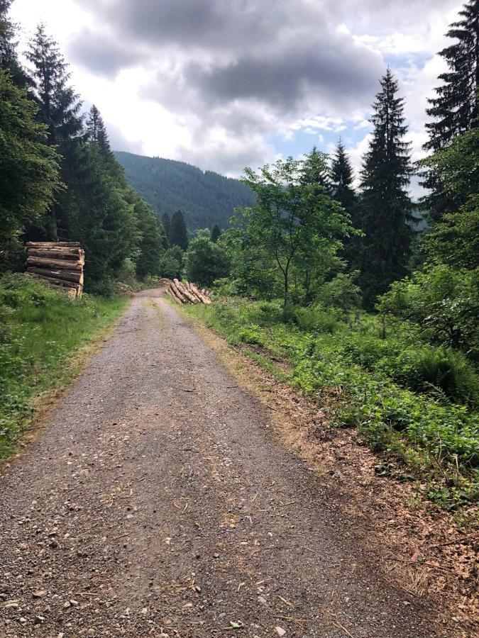 Haus Am Scheibenfelsen Apartman St. Blasien Kültér fotó