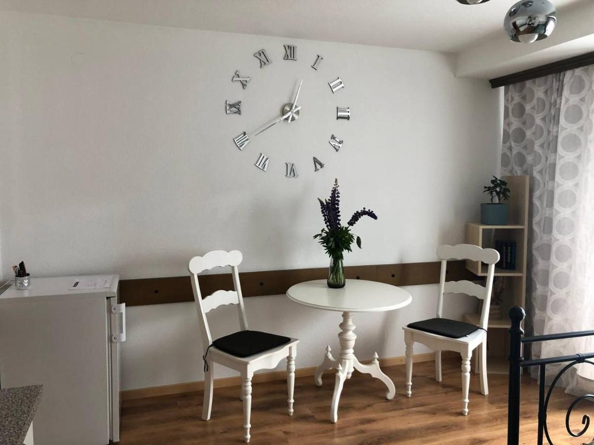 Haus Am Scheibenfelsen Apartman St. Blasien Kültér fotó