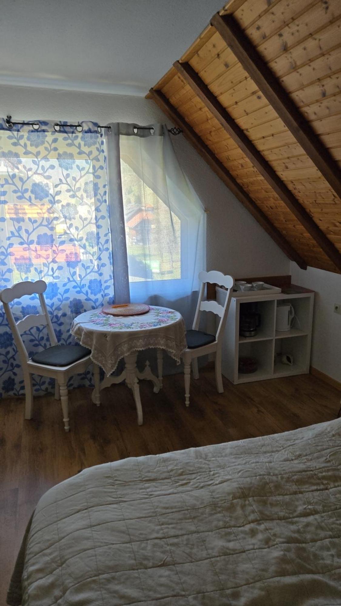 Haus Am Scheibenfelsen Apartman St. Blasien Kültér fotó