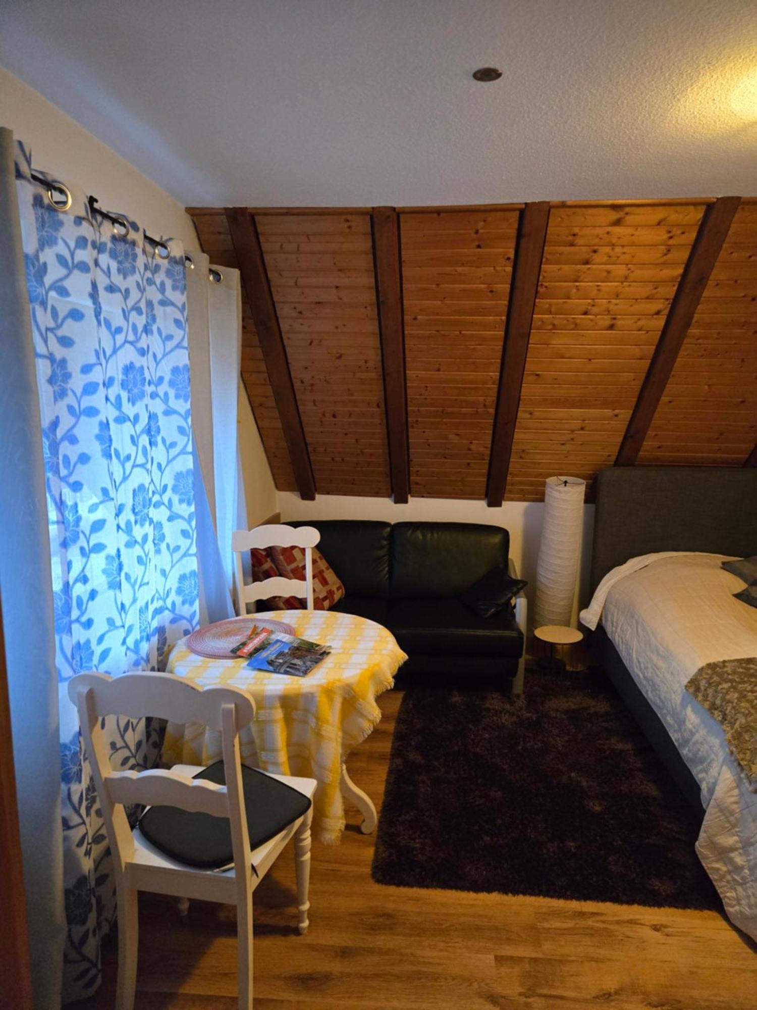 Haus Am Scheibenfelsen Apartman St. Blasien Kültér fotó