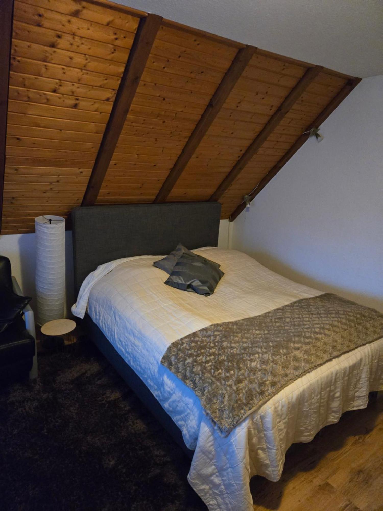 Haus Am Scheibenfelsen Apartman St. Blasien Kültér fotó