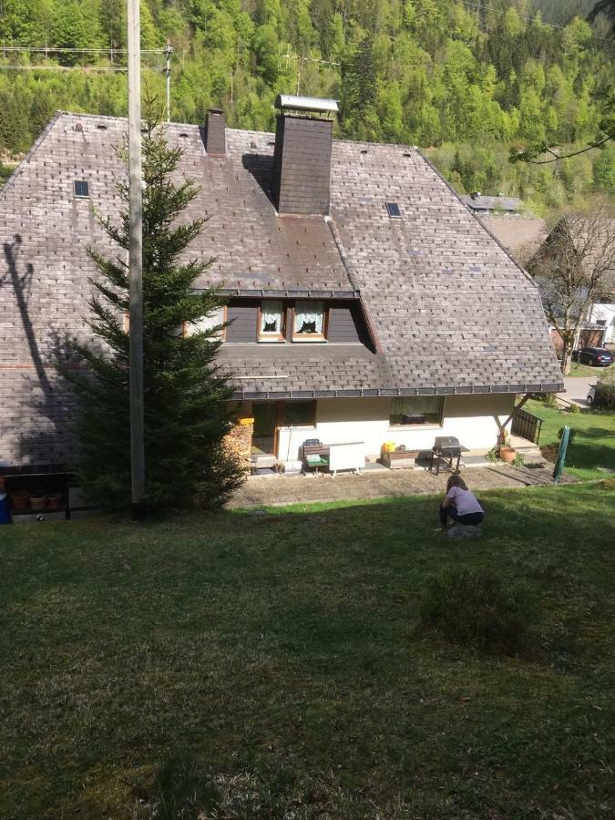 Haus Am Scheibenfelsen Apartman St. Blasien Kültér fotó