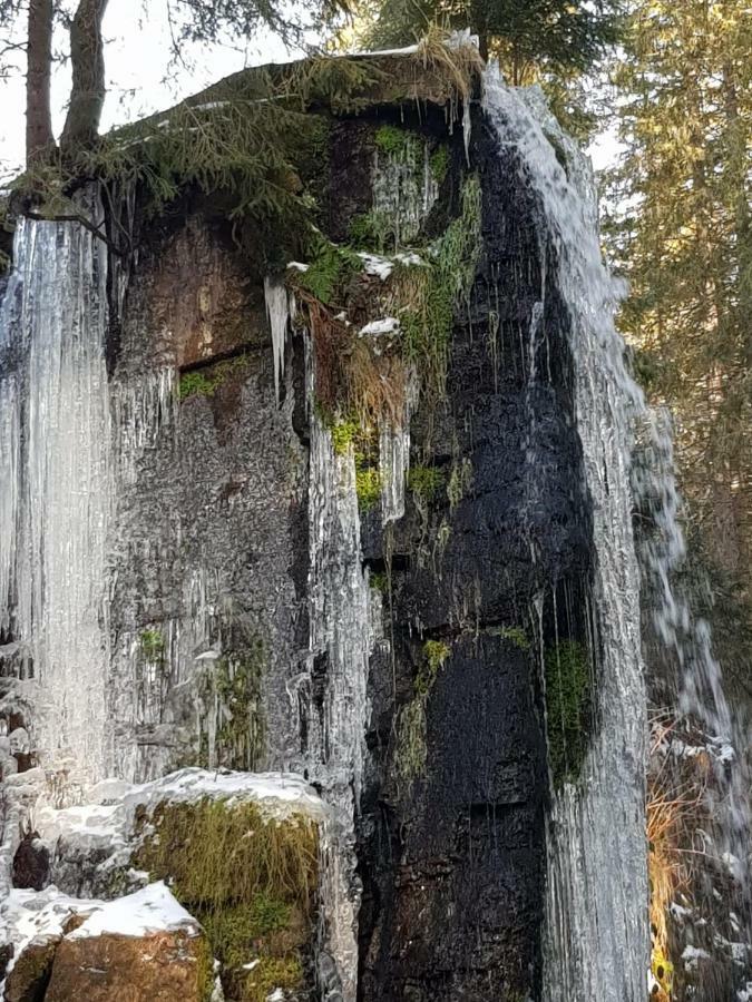 Haus Am Scheibenfelsen Apartman St. Blasien Kültér fotó